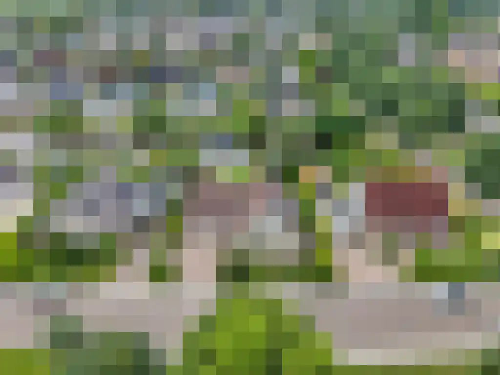 de Seine 4 Sneek thumbnail 50
