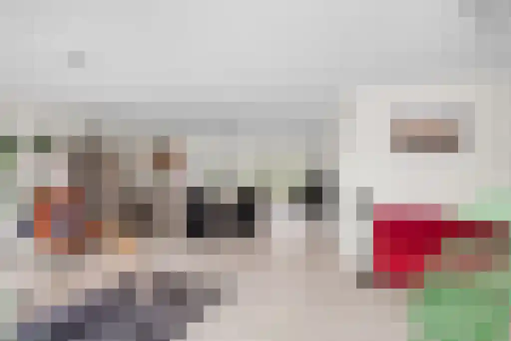 de Seine 4 Sneek thumbnail 7