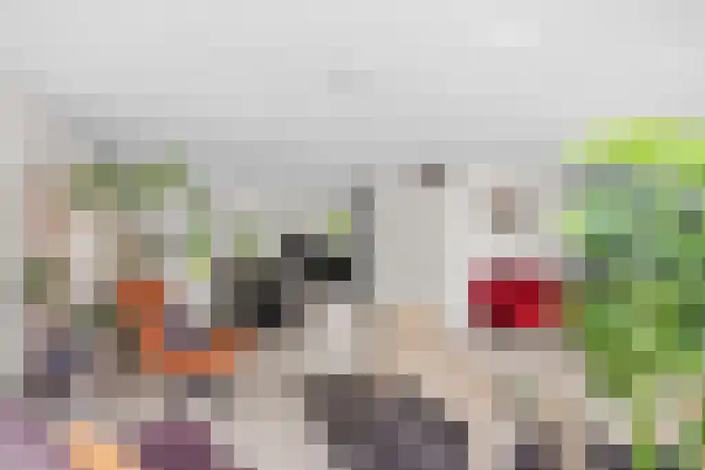 de Seine 4 Sneek thumbnail 8