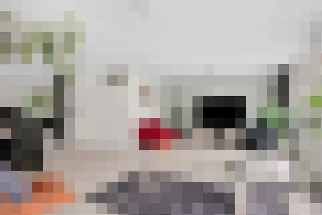 de Seine 4 Sneek thumbnail 9