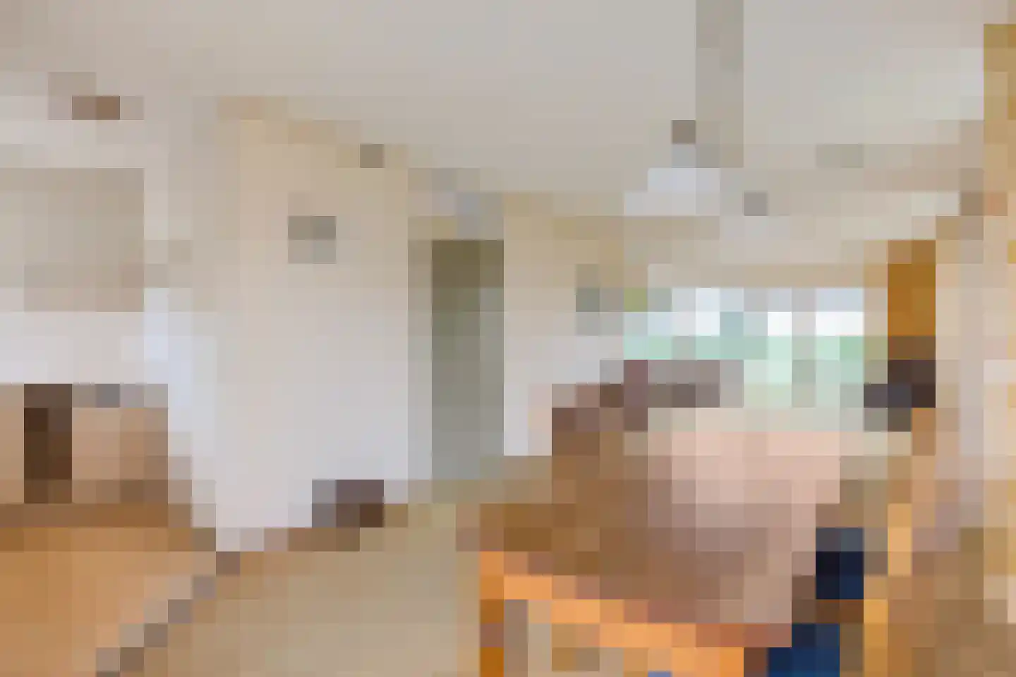 de Seine 7 Sneek thumbnail 15
