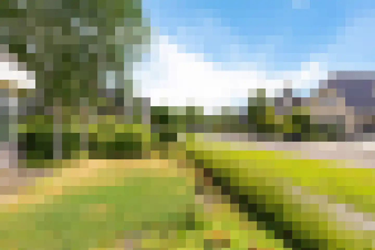 de Seine 7 Sneek thumbnail 41