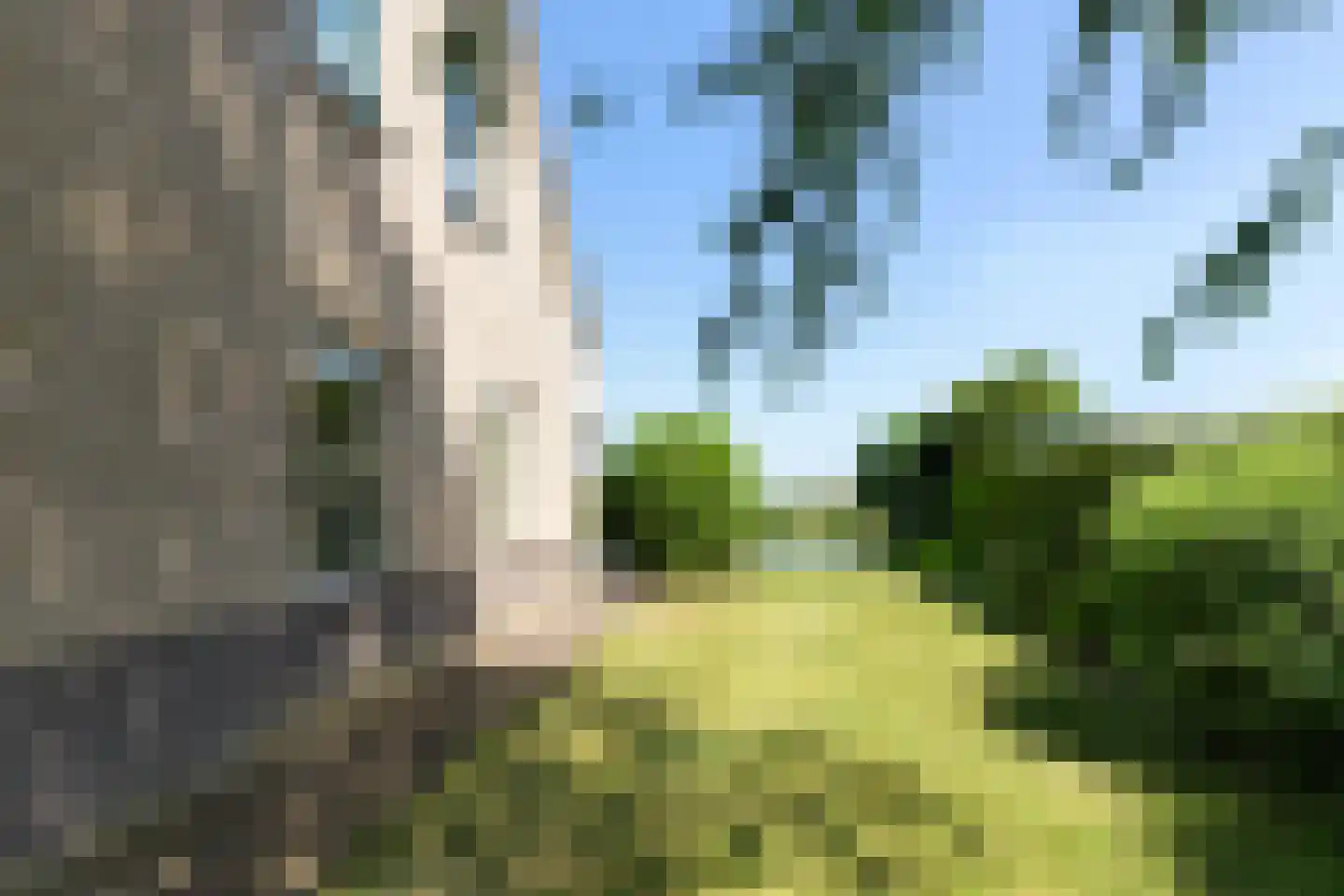 de Seine 7 Sneek thumbnail 49