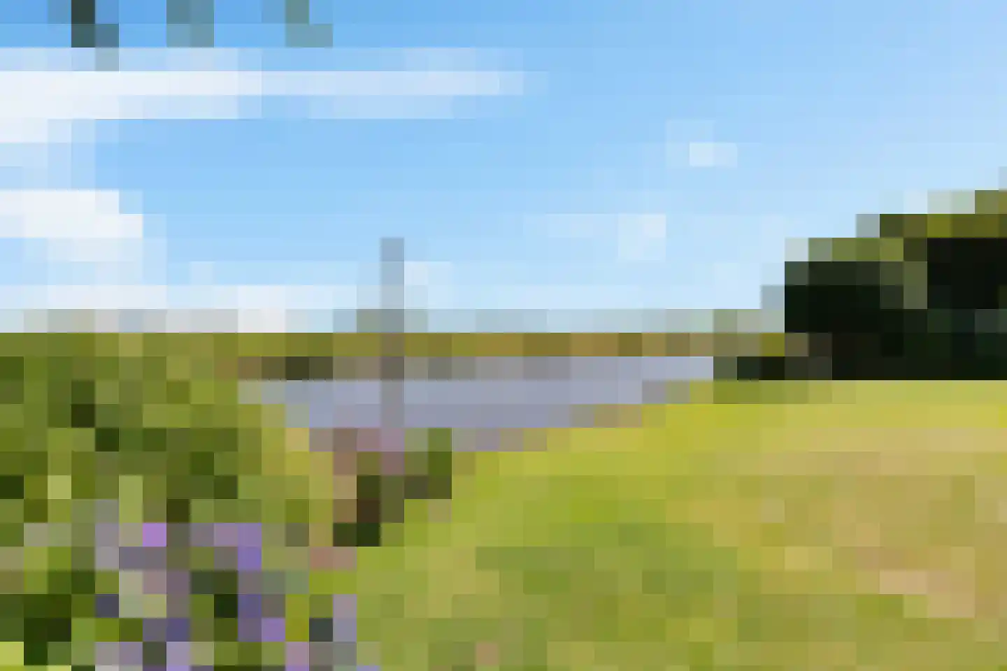 de Seine 7 Sneek thumbnail 60
