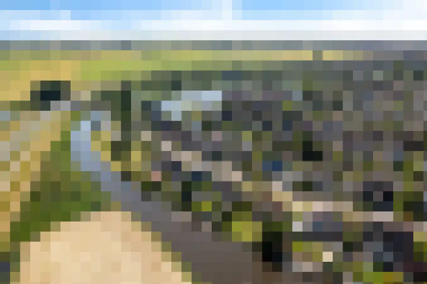 de Seine 7 Sneek thumbnail 65