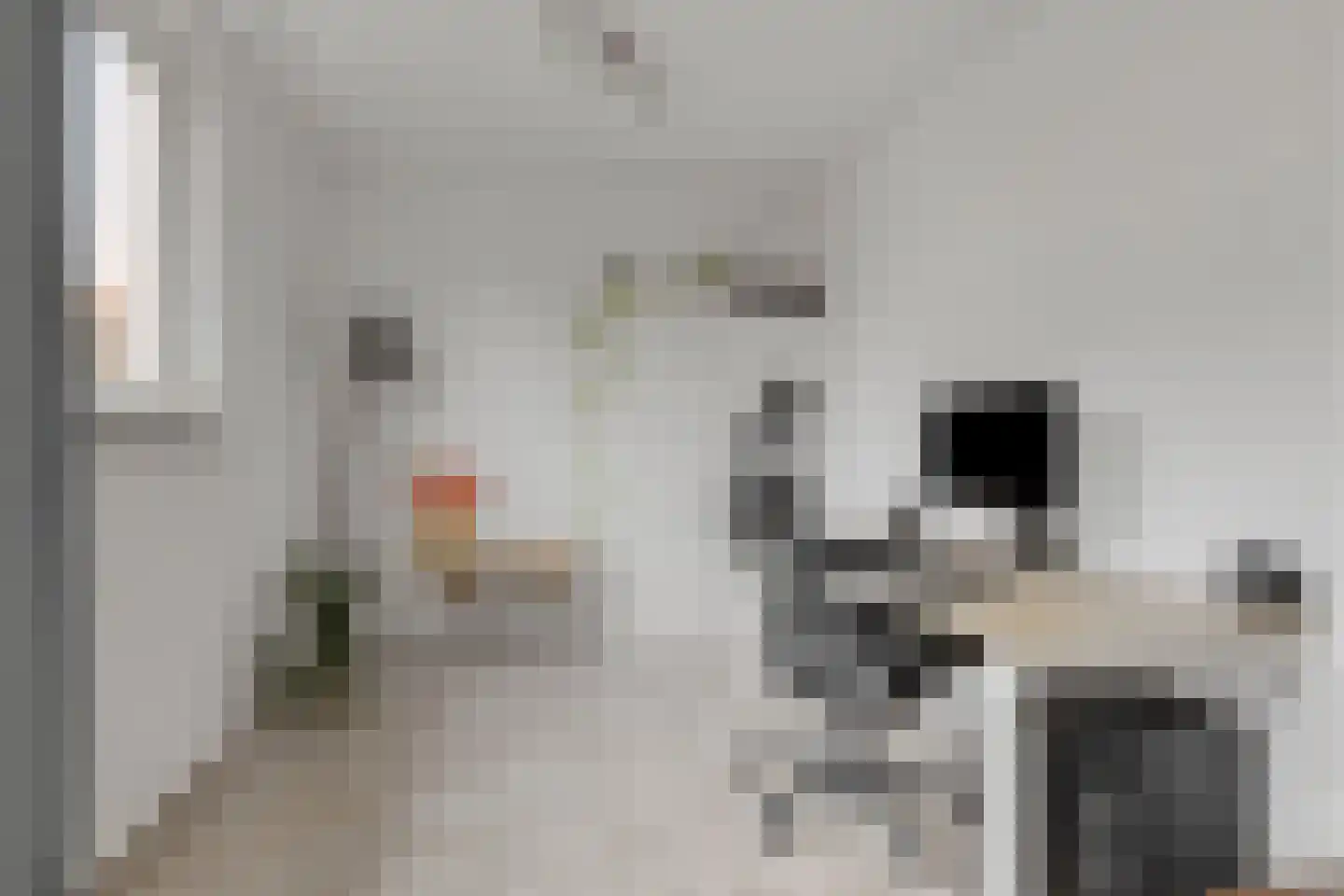 de Sering 2 a Boxmeer thumbnail 13