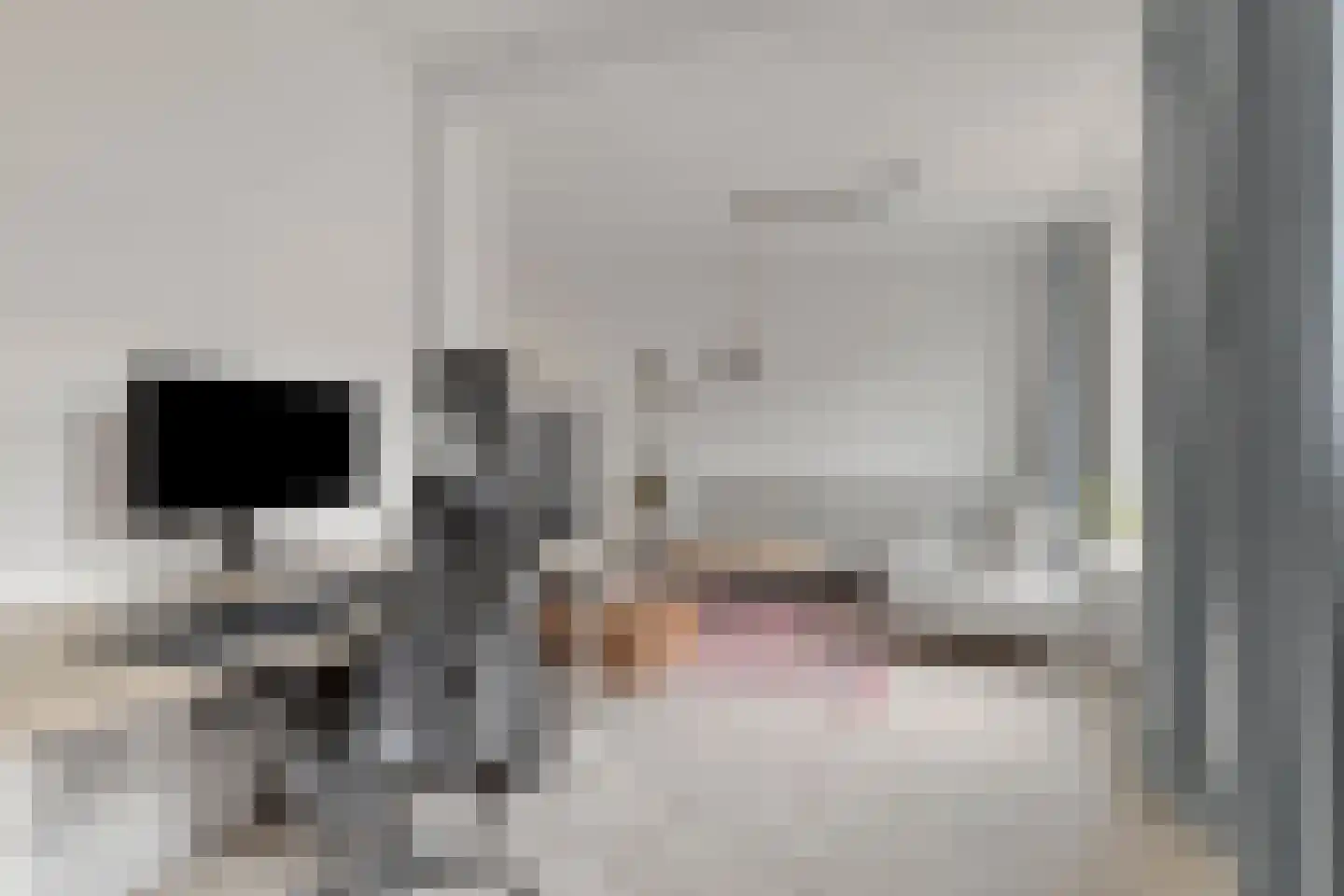 de Sering 2 a Boxmeer thumbnail 14