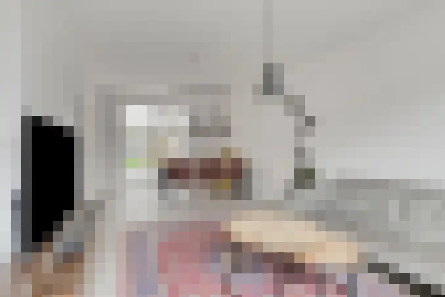 de Sering 2 a Boxmeer thumbnail 15