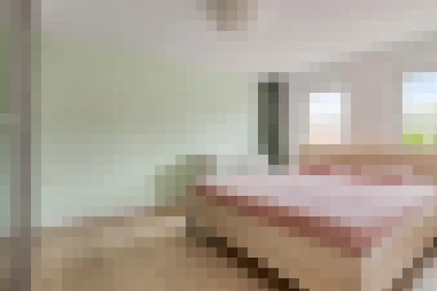 de Sering 2 a Boxmeer thumbnail 30