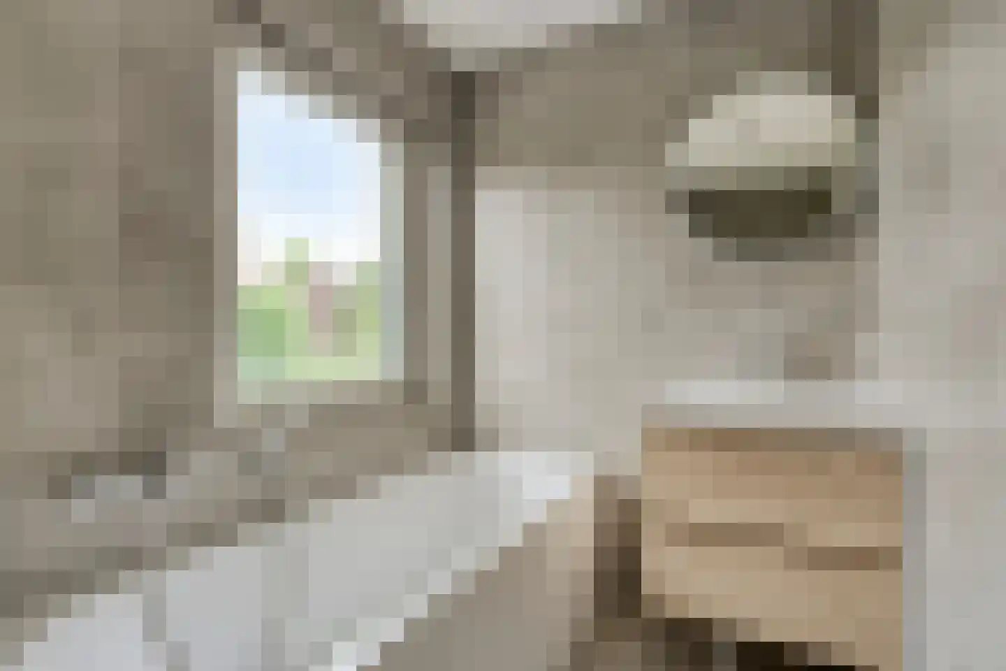 de Sering 2 a Boxmeer thumbnail 34