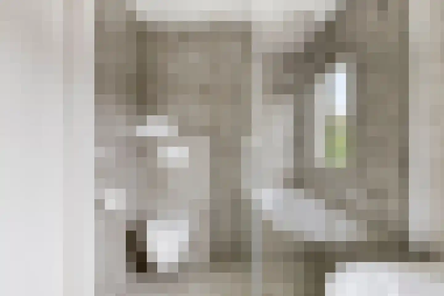 de Sering 2 a Boxmeer thumbnail 36