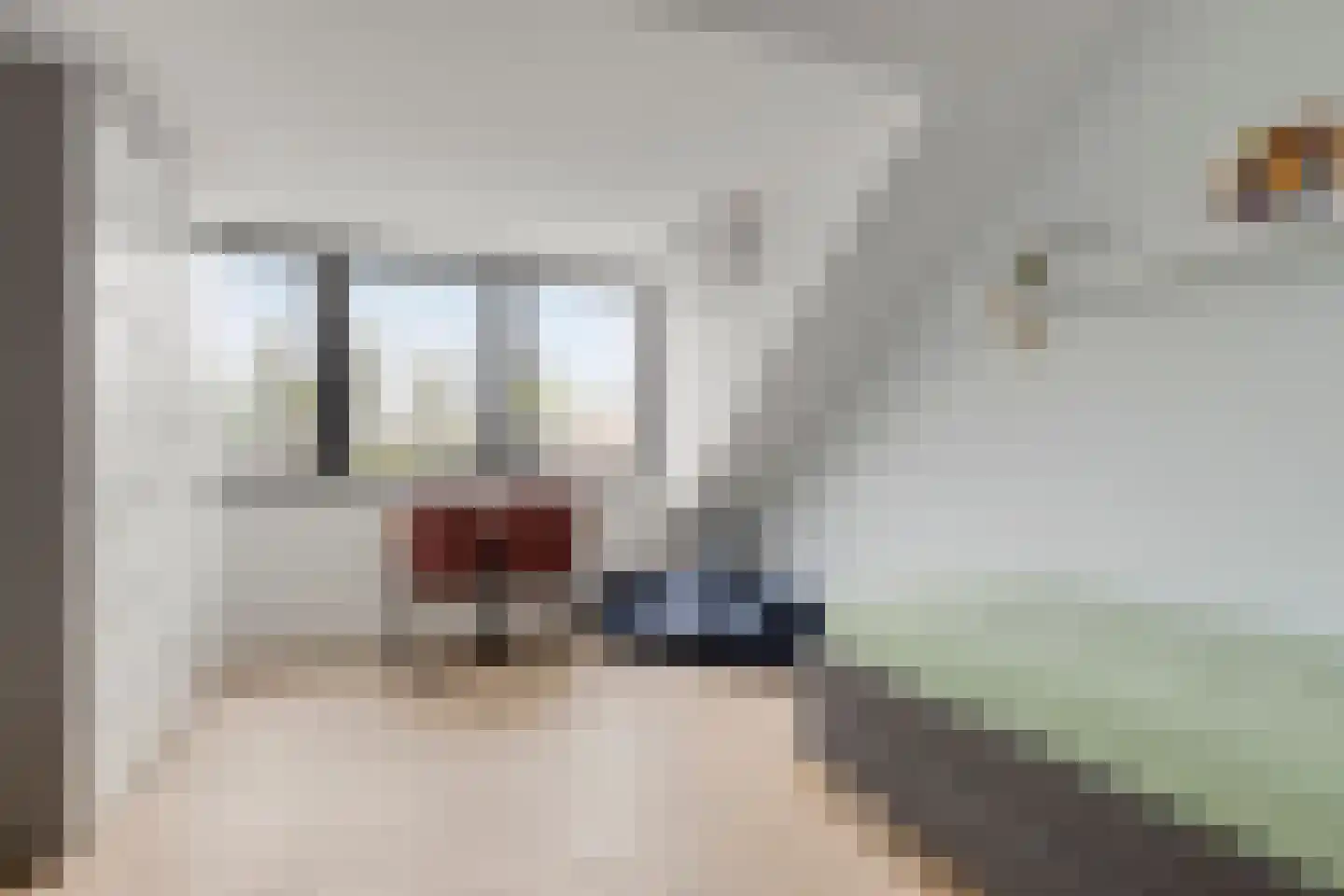 de Sering 2 a Boxmeer thumbnail 38