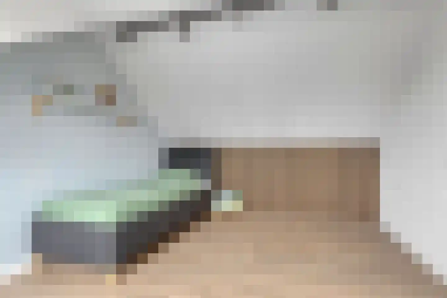 de Sering 2 a Boxmeer thumbnail 39