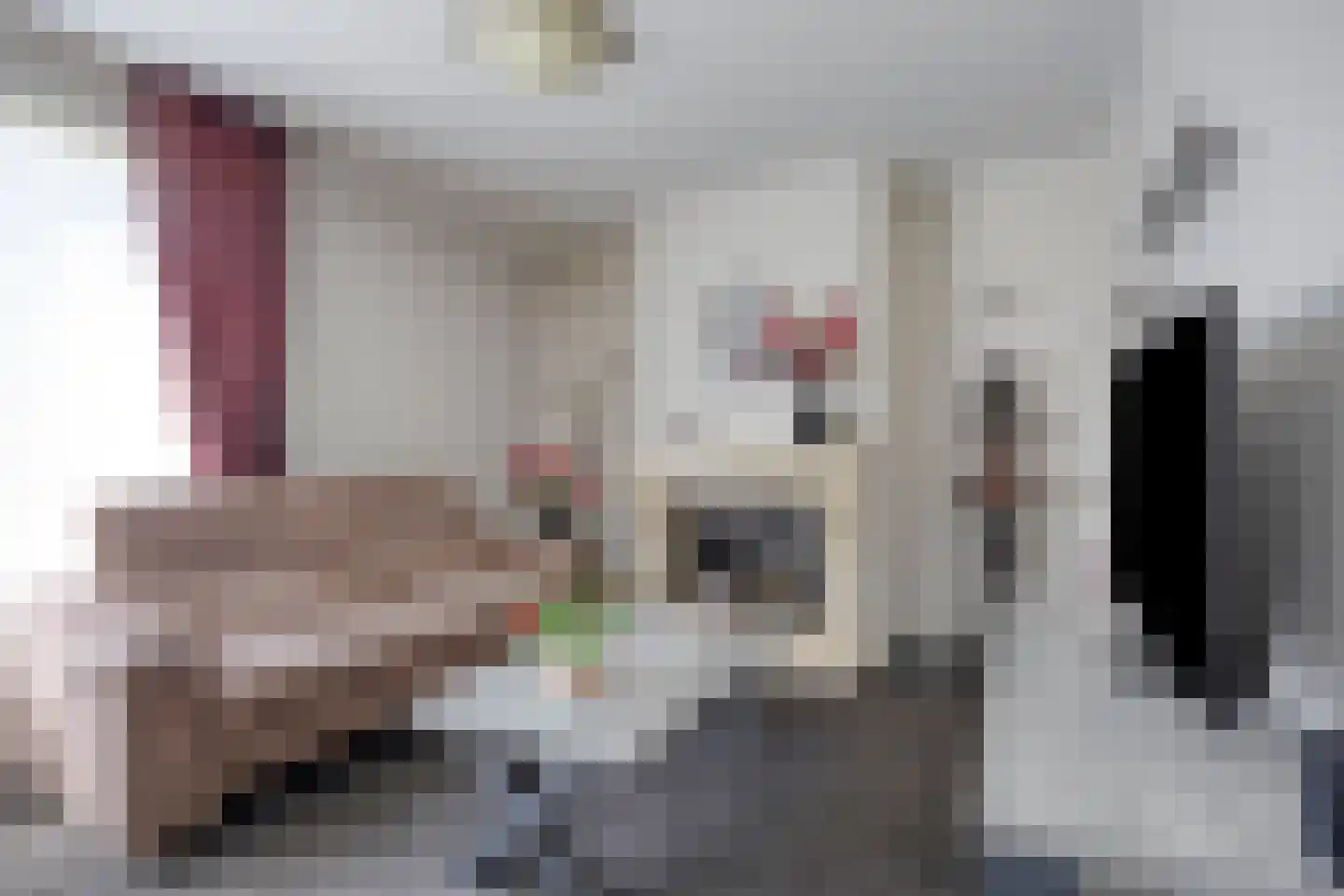 de Sering 21 Boxmeer thumbnail 18