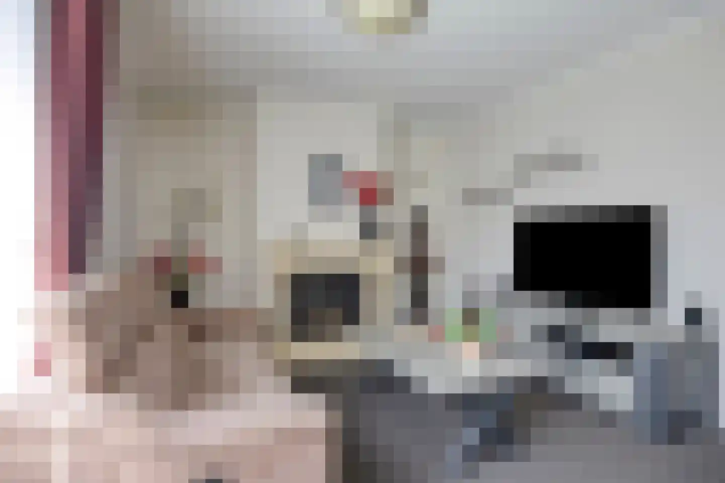 de Sering 21 Boxmeer thumbnail 19