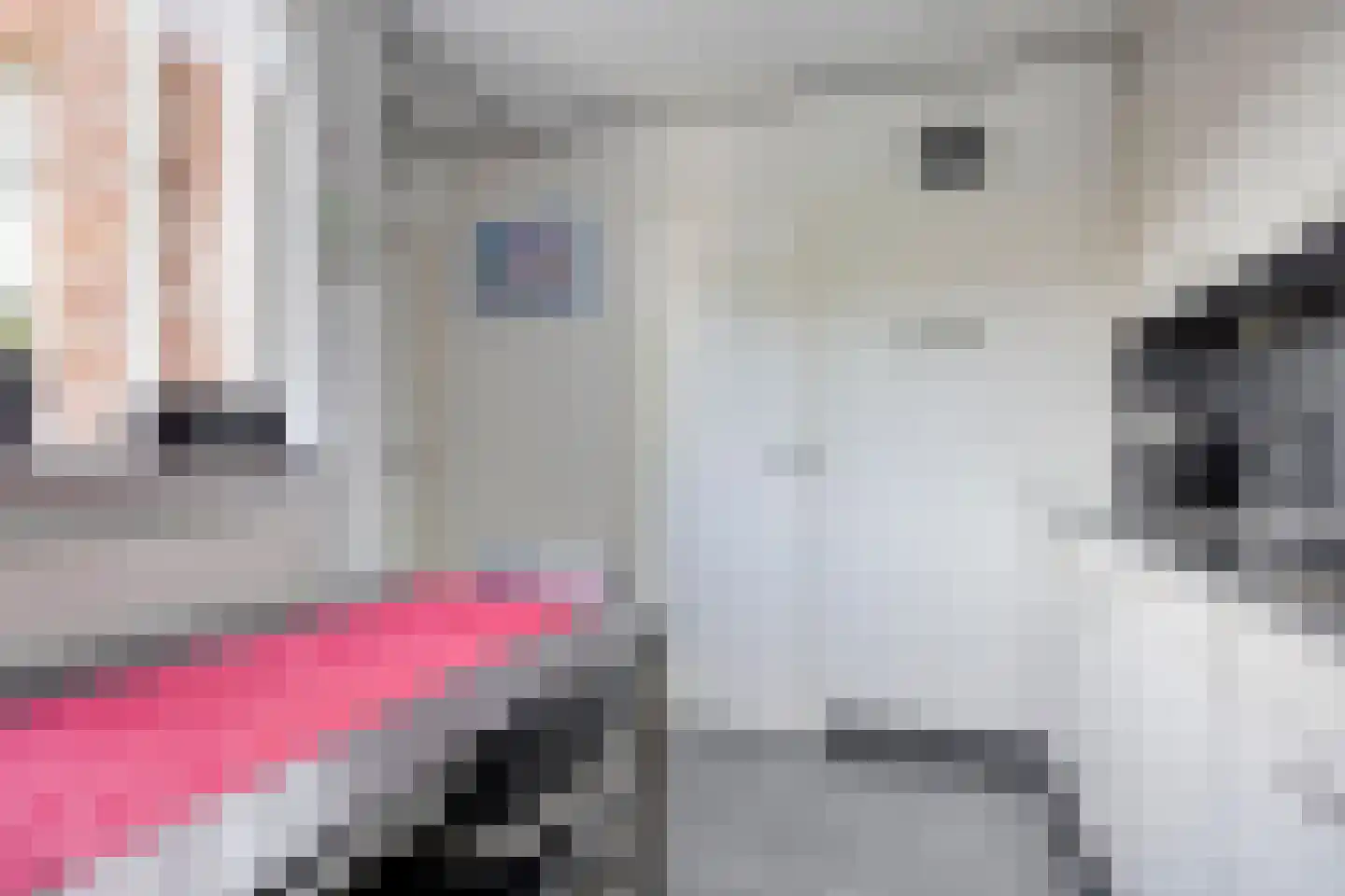 de Sering 21 Boxmeer thumbnail 28