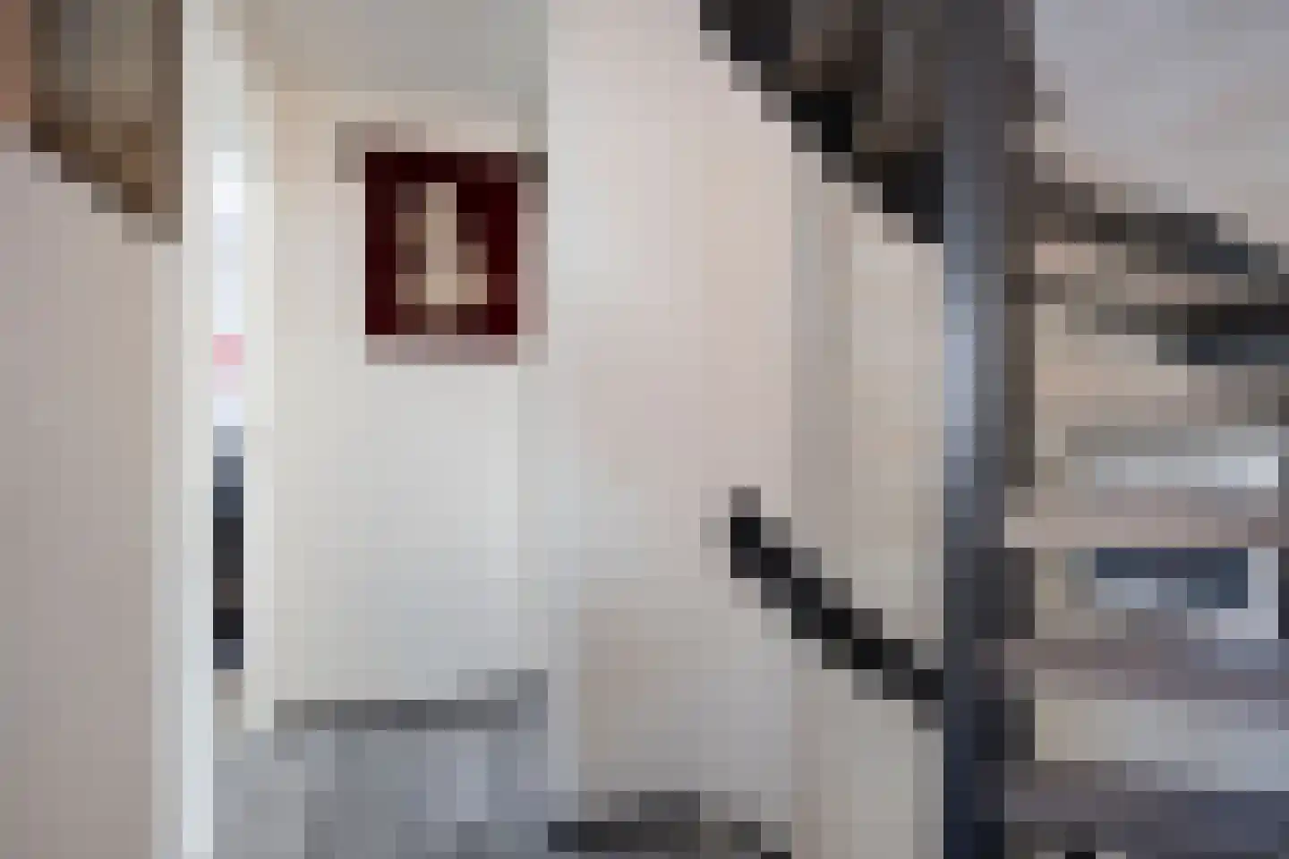 de Sering 21 Boxmeer thumbnail 33