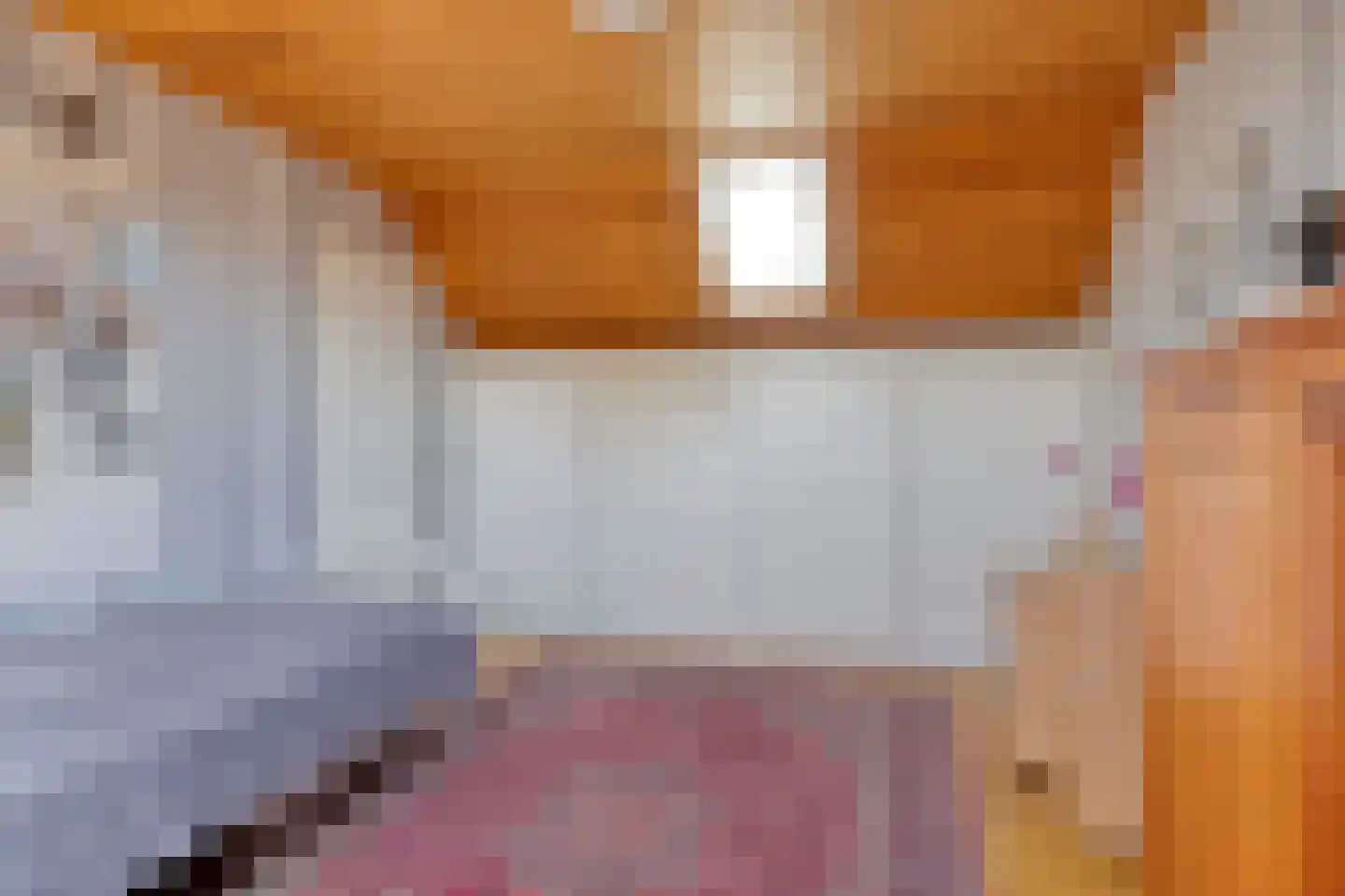 de Sering 21 Boxmeer thumbnail 45