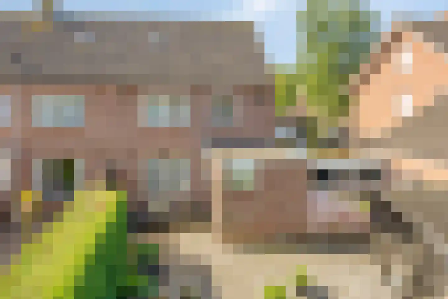 de Sering 21 Boxmeer thumbnail 46