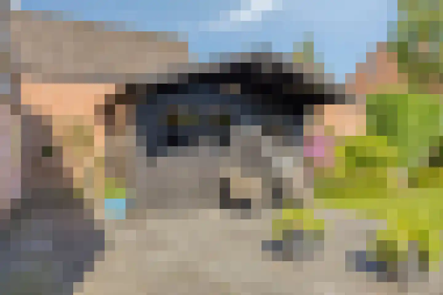 de Sering 21 Boxmeer thumbnail 49