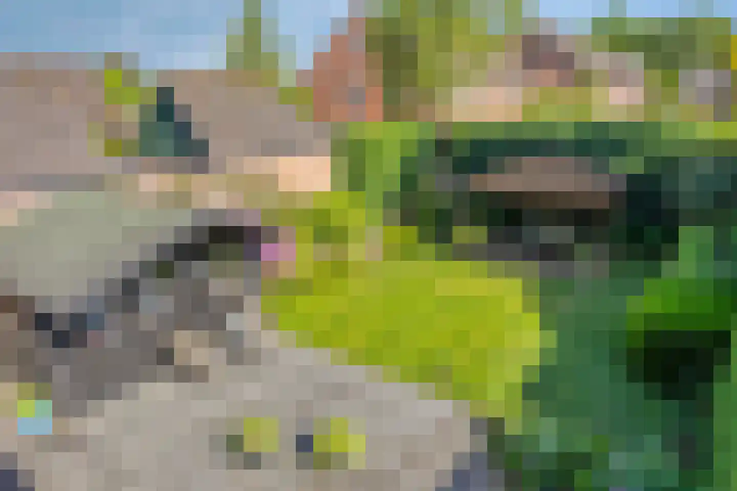 de Sering 21 Boxmeer thumbnail 51