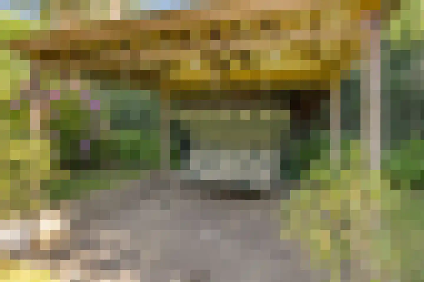 de Sering 21 Boxmeer thumbnail 54