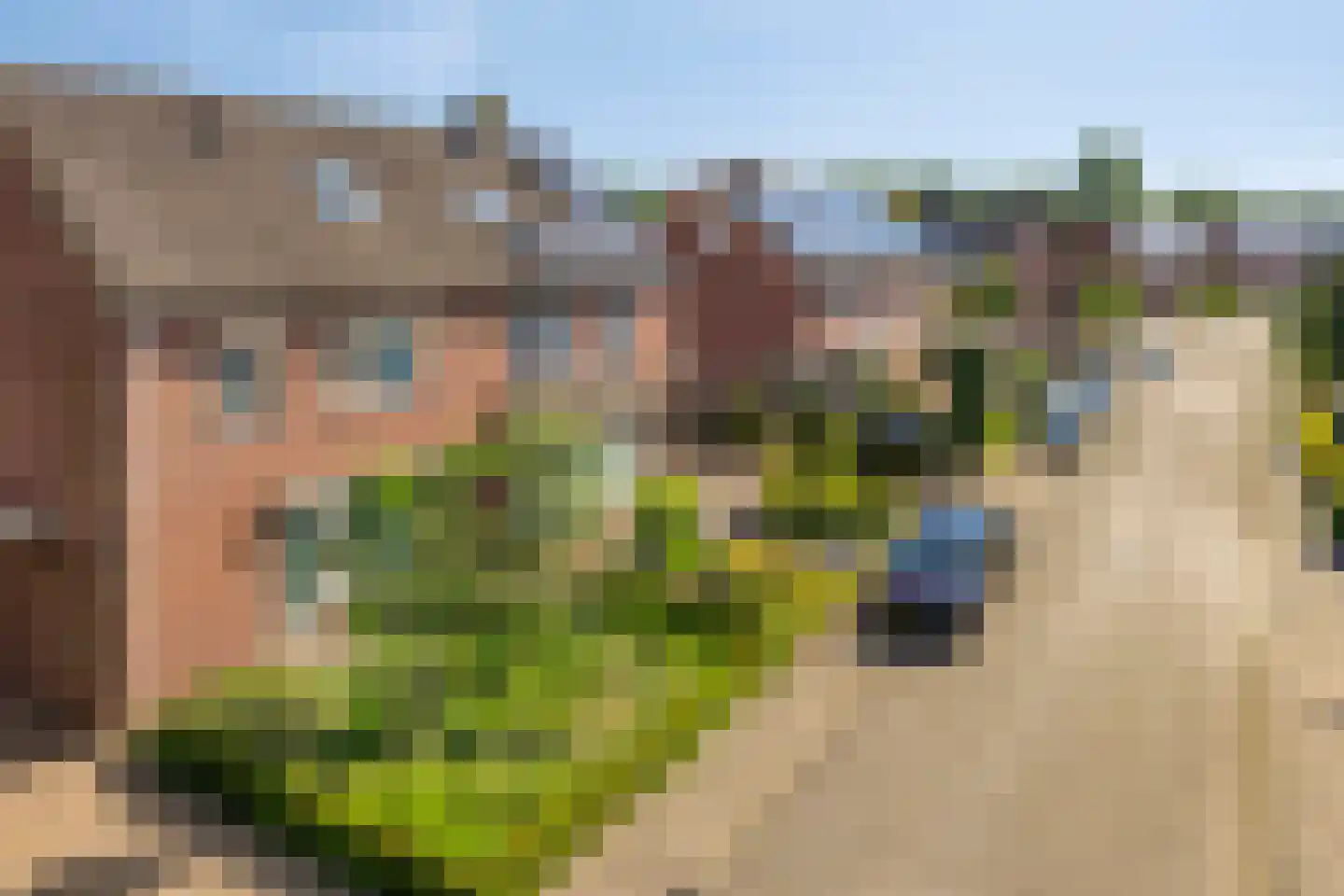 de Sering 21 Boxmeer thumbnail 6