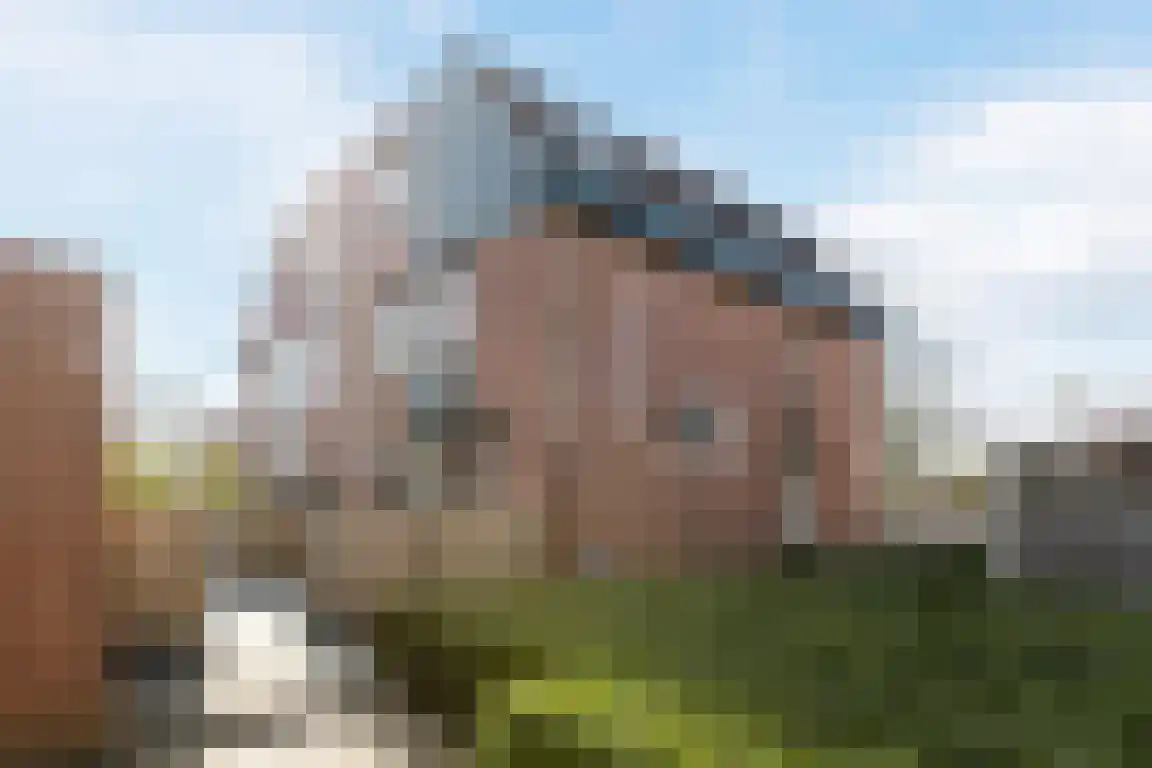 de Sering 21 Hoogerheide thumbnail 35