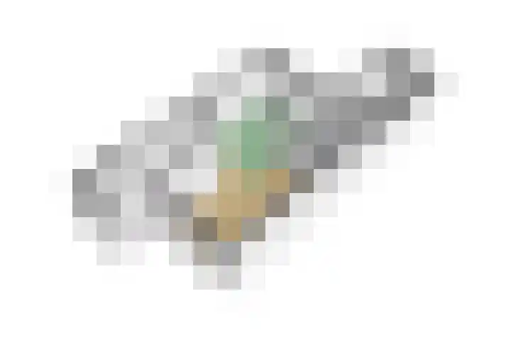 de Sering 8 Hoogerheide thumbnail 44
