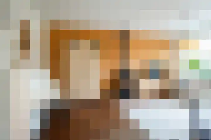 de Sering 8 Hoogerheide thumbnail 5