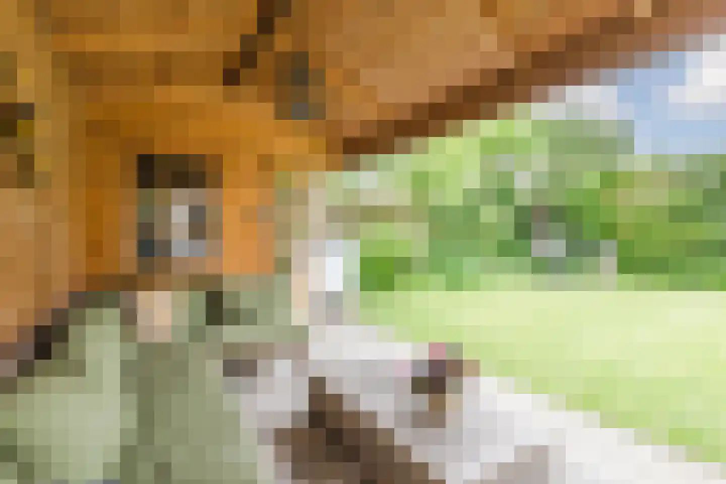 De Sikkel 14 Heerde thumbnail 58