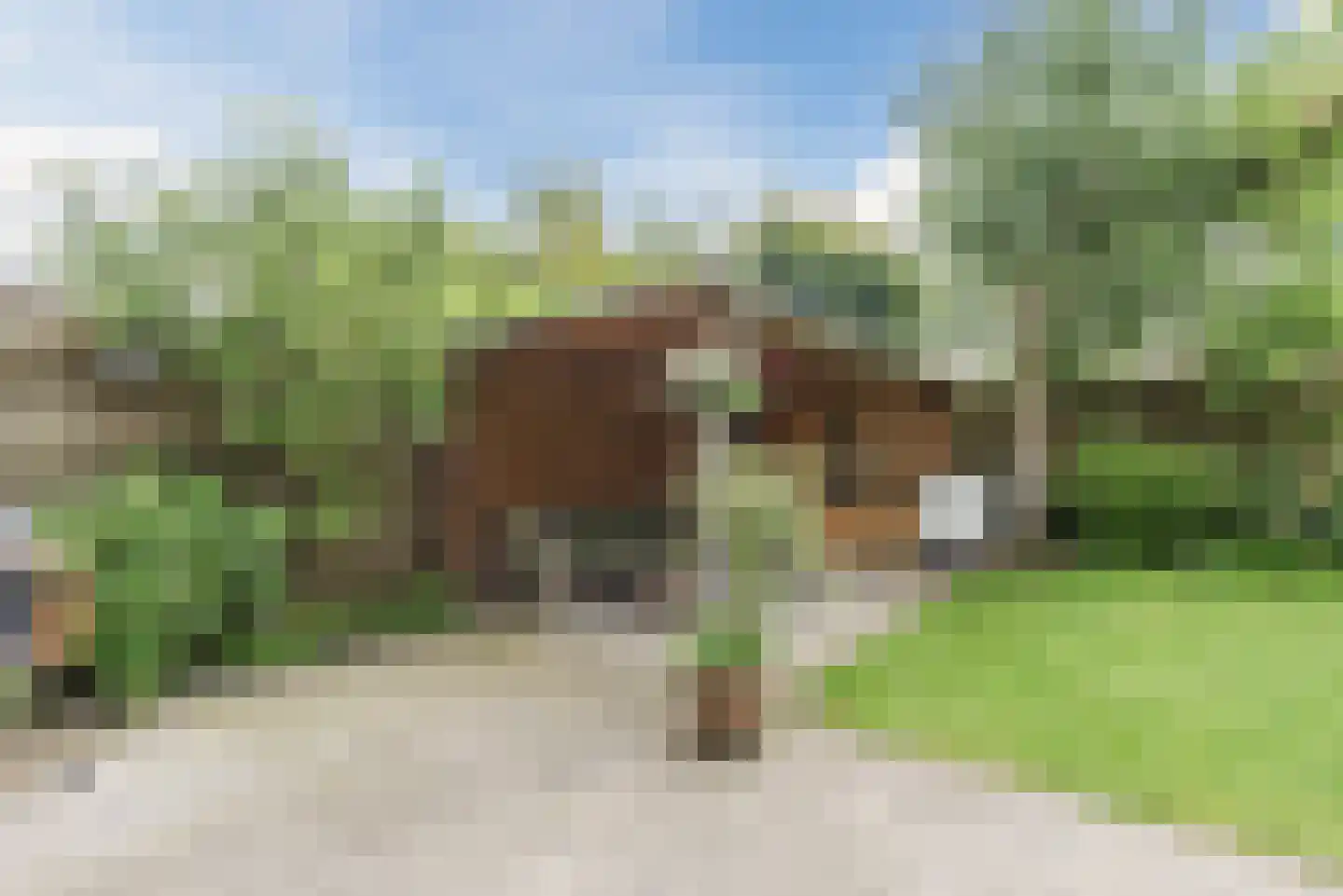 De Sikkel 14 Heerde thumbnail 60