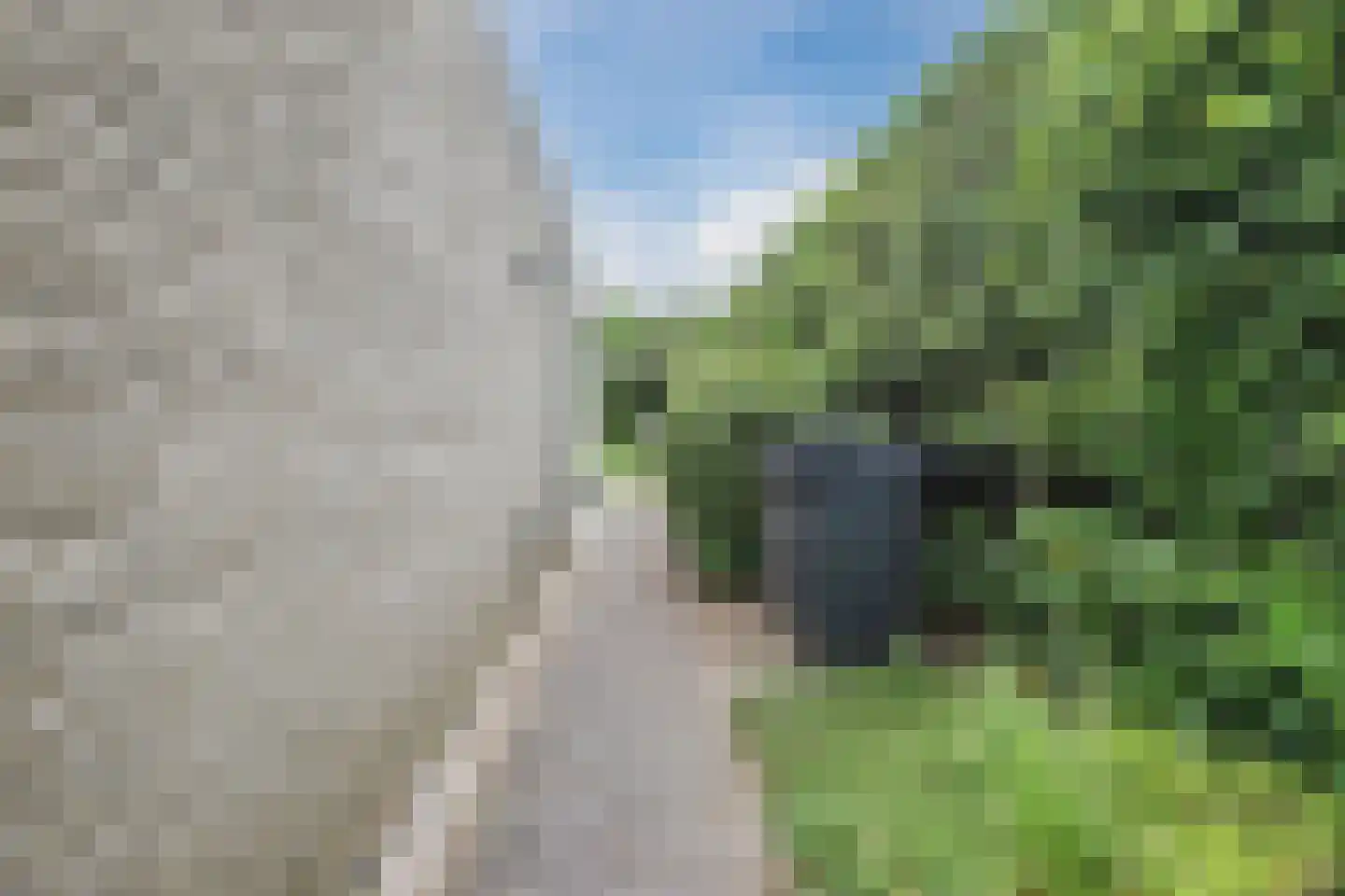 De Sikkel 14 Heerde thumbnail 68