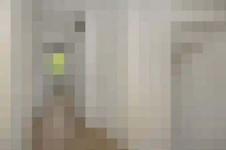 De Sikkel 16 Heesch thumbnail 15