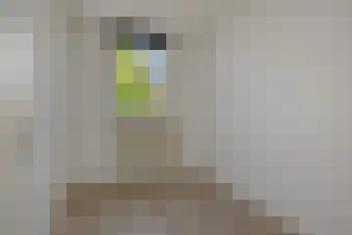 De Sikkel 16 Heesch thumbnail 20