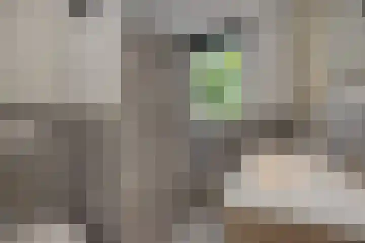 De Sikkel 16 Heesch thumbnail 21
