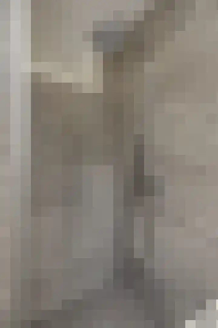 De Sikkel 16 Heesch thumbnail 22