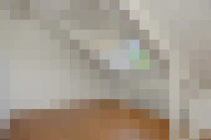 De Sikkel 16 Heesch thumbnail 27