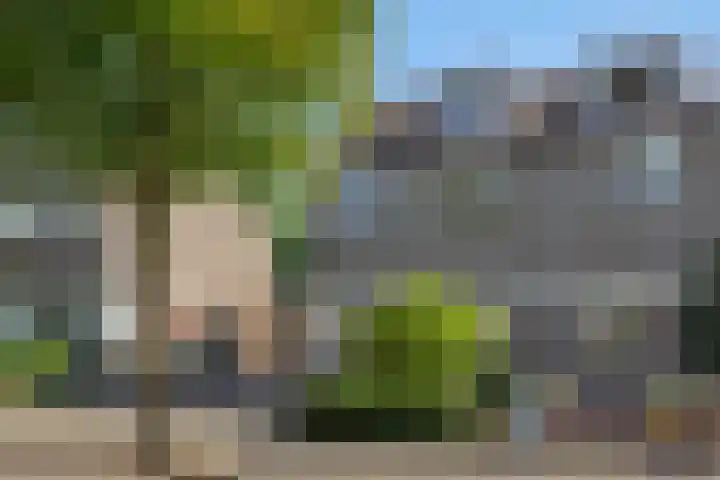 De Sikkel 16 Heesch thumbnail 38