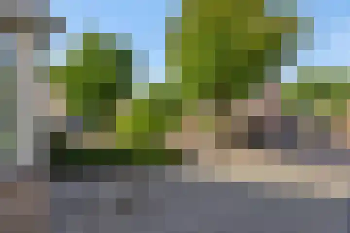 De Sikkel 16 Heesch thumbnail 45