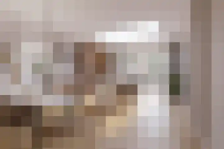 De Sikkel 16 Heesch thumbnail 5