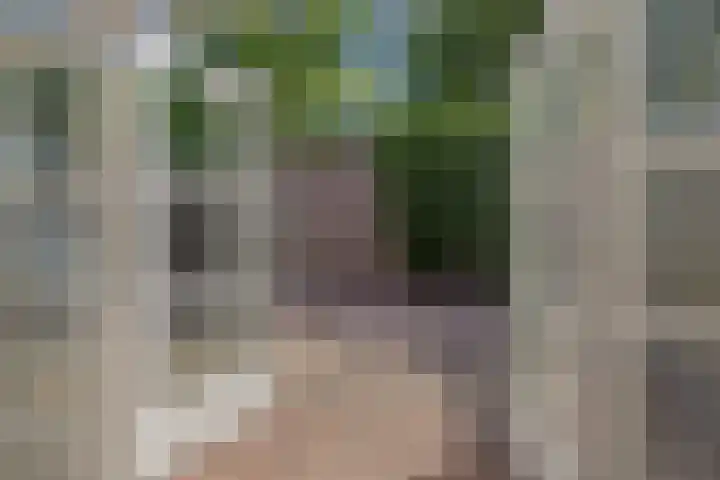 De Sikkel 16 Heesch thumbnail 6