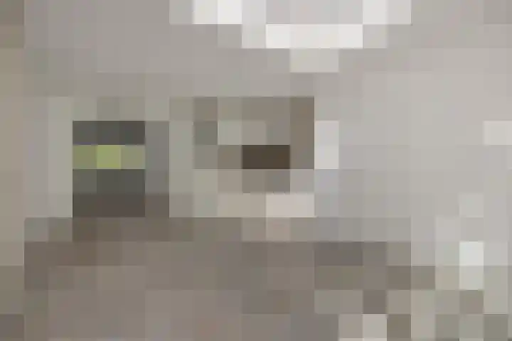 De Sikkel 16 Heesch thumbnail 8