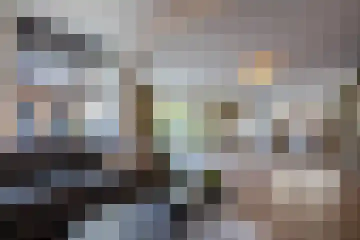 De Sikkel 18 Heerde thumbnail 12