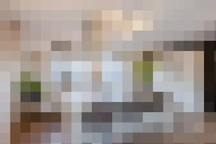 De Sikkel 18 Heerde thumbnail 18