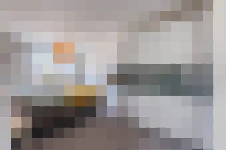 De Sikkel 18 Heerde thumbnail 29