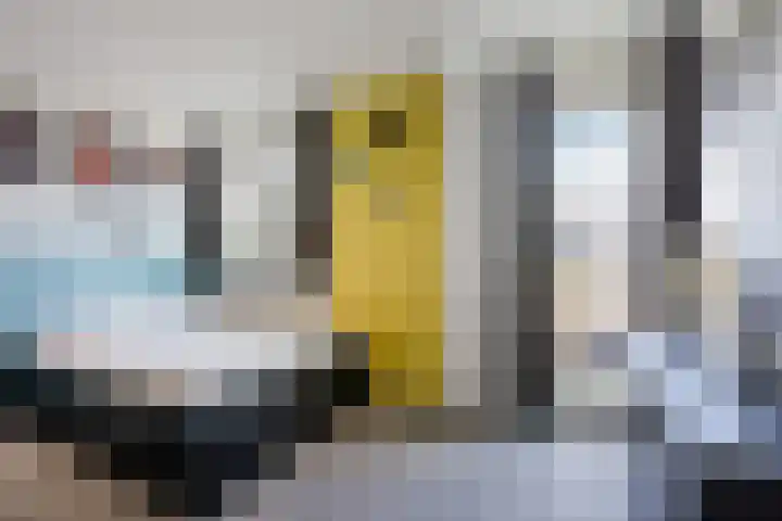 De Sikkel 18 Heerde thumbnail 31