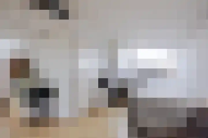 De Sikkel 18 Heerde thumbnail 42