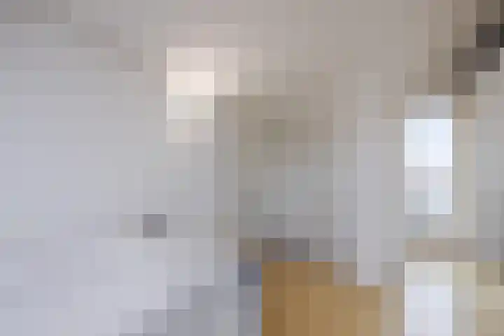 De Sikkel 18 Heerde thumbnail 43