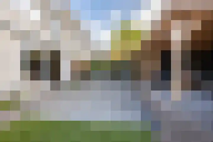 De Sikkel 18 Heerde thumbnail 56
